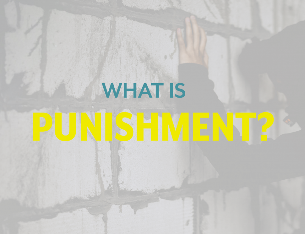 a person leans forward against a brick wall. On a transparent overlay the image reads what is punishment
